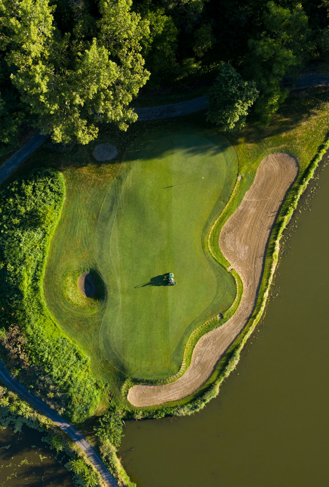 aerial-view-of-green-trees-beside-river-during-daytime-08ipbe8gpww